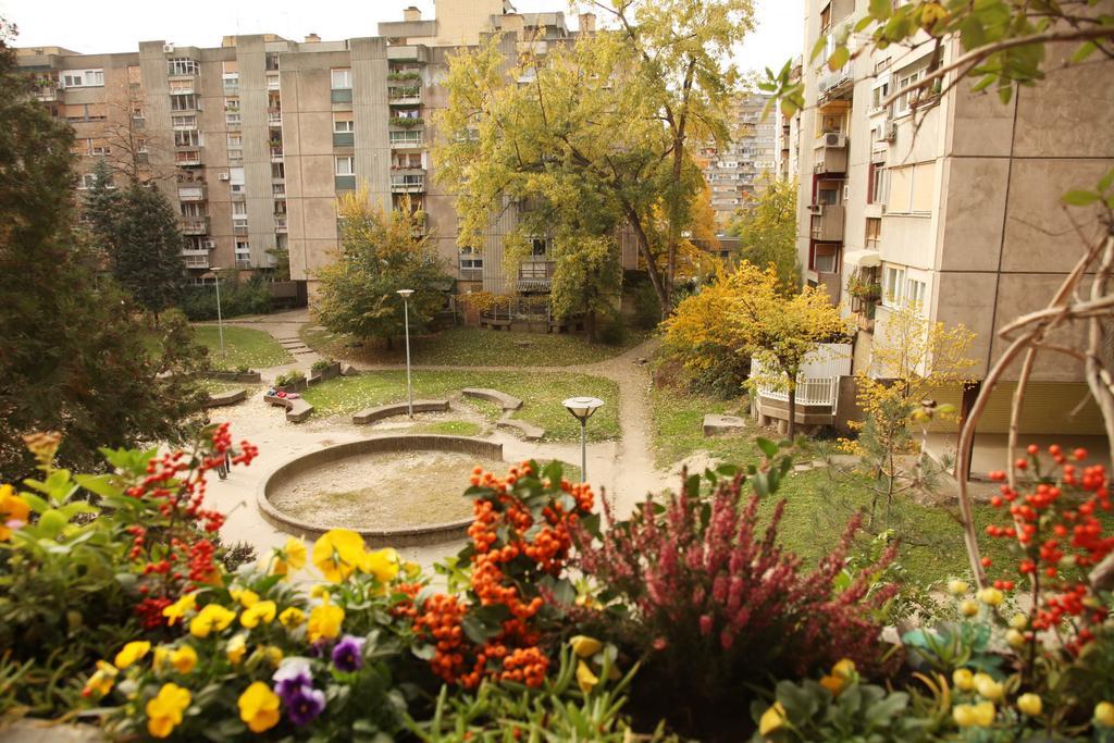 Apartment Spacious Liman Novi Sad Exterior photo