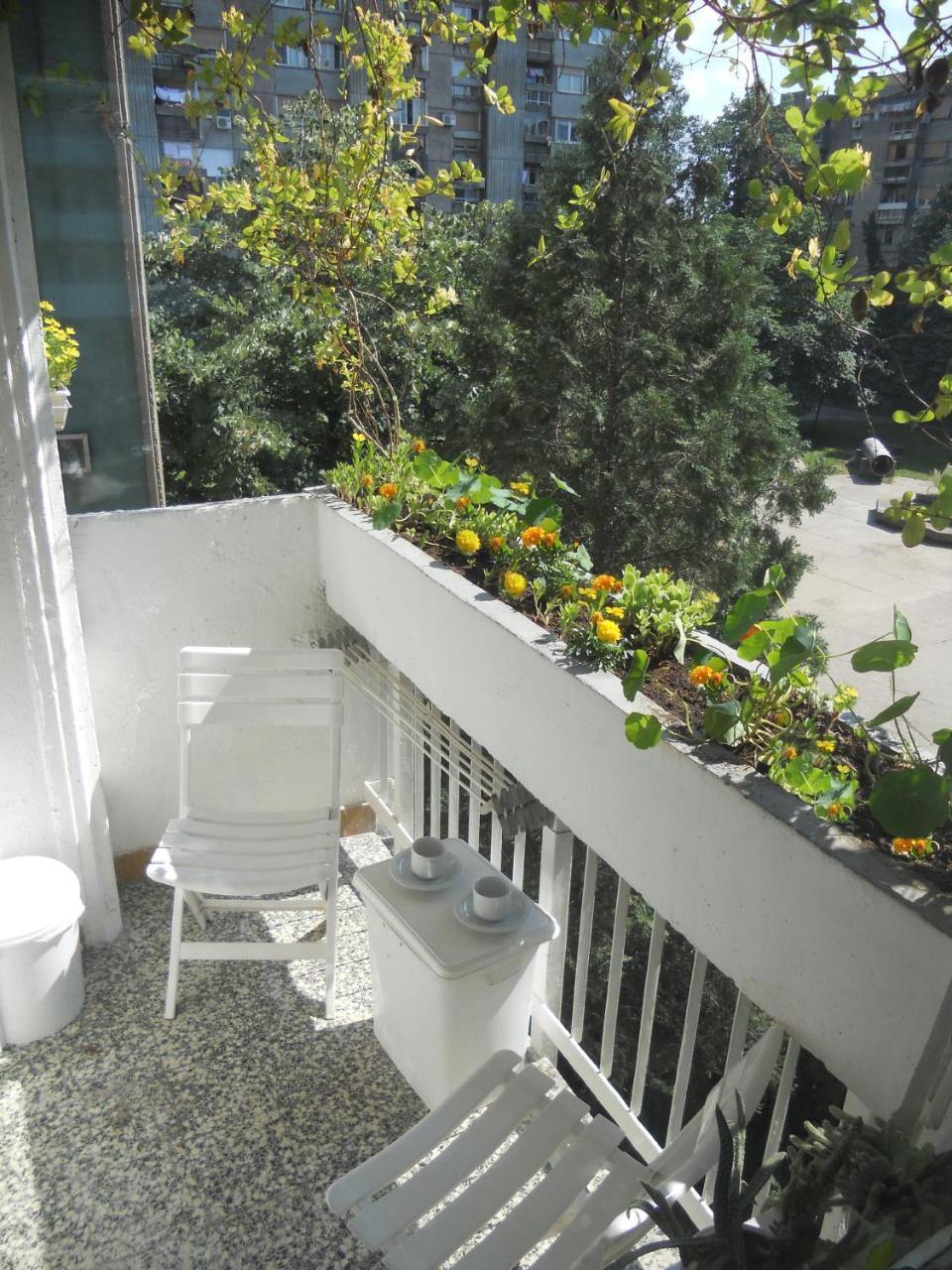 Apartment Spacious Liman Novi Sad Exterior photo
